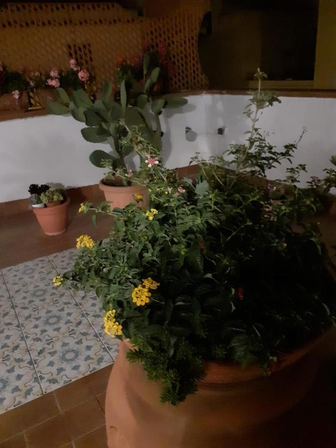 Dolce Far Niente Villa Noto Kültér fotó